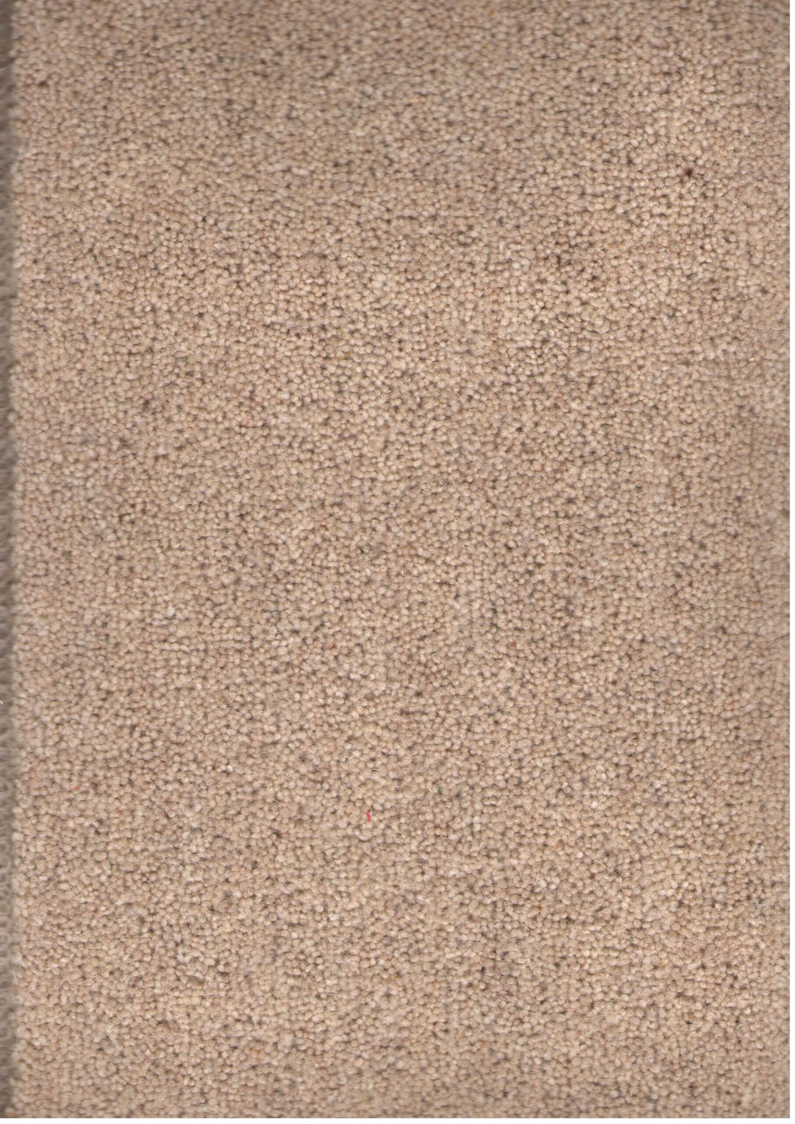 GPC30238281