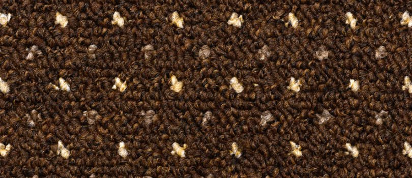 Samantha-dark-brown-810x350