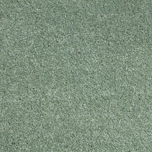 Thyme-500x500