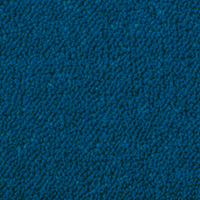 gentian