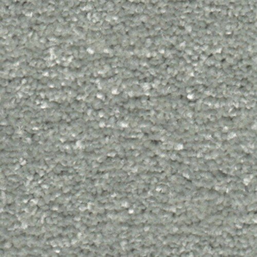 mountain-sage