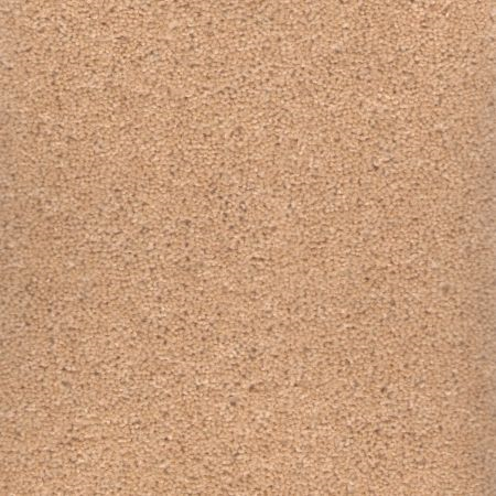 vit_trad_claire_450